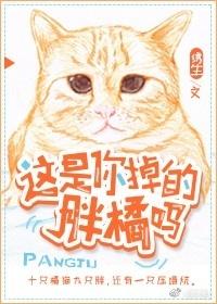 这是你掉的胖橘吗 这是你掉的胖橘吗
