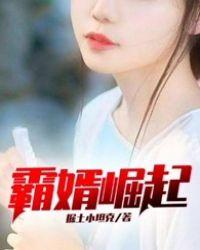 上门女婿叶辰 上门女婿叶辰